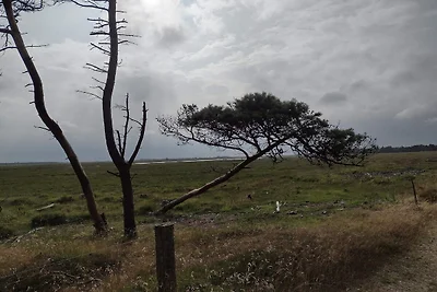 6 persoons vakantie huis in Oksbøl