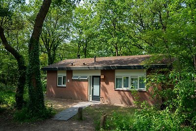 Bel bungalow con camino, vicino al Veluwe