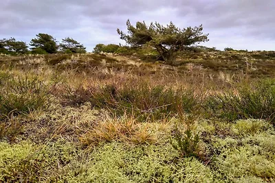4 Personen Ferienhaus in Fanø-By Traum