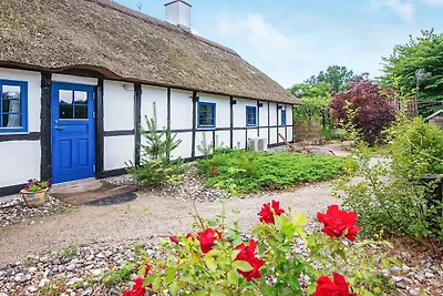 6 Personen Ferienhaus in Ørsted-By Traum