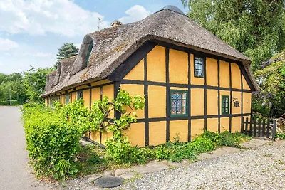 Vakantiehuis voor 6 personen in Glesborg