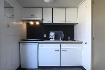 Egelantierlaan 21a