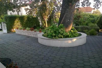 Apartman Borić A2 - Apartment