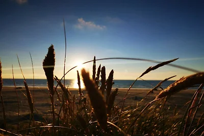 Luxurioses Strandrefugium -- By Traum...