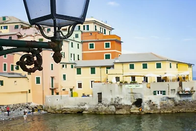 ViviBoccadasse - Tulipano 38/1 - RS