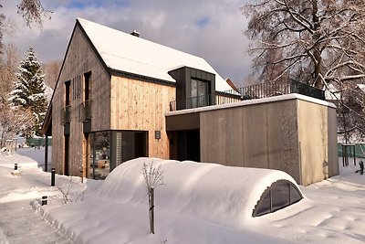 Villa mit Kamin in Cerný Dul