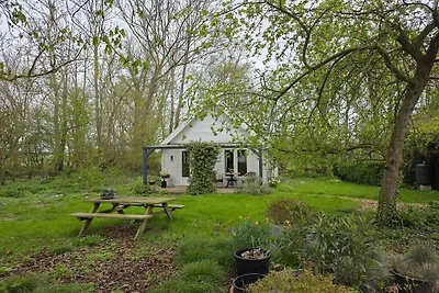 Ferienhaus mit 1 Schlafzimmer
