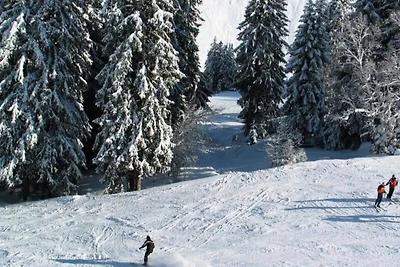 Studio in Frankreich nahe Skibus & Zentrum