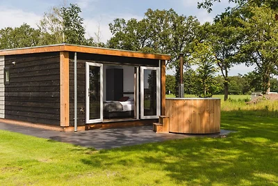 Chalet mit Sauna auf dem Sallandse Heuvelrug