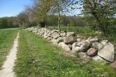 4 Personen Ferienhaus in Vordingborg-By Traum
