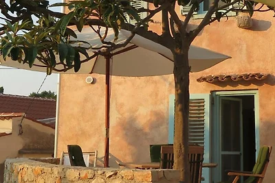 Roza alla casa di campagna Rialto