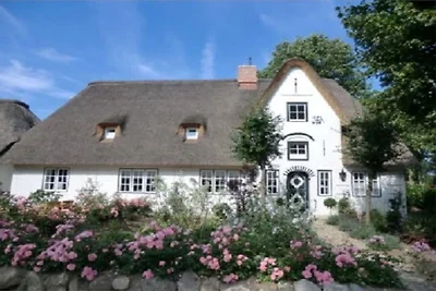 Ferienhaus in Nieblum mit Schwimmbecken