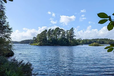 6 persoons vakantie huis in Vittsjö