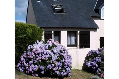 Case e Ville per 4 Persone