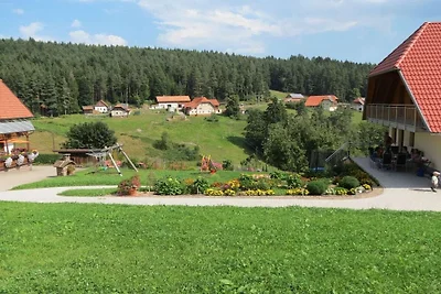 Sonnenschein auf dem Florihof