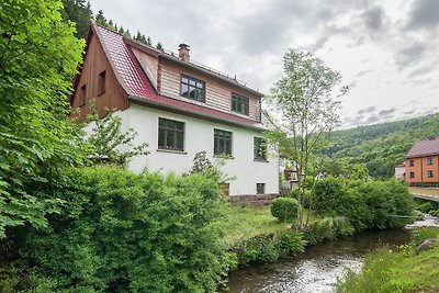 Großzügiges Ferienhaus in Unterschönau in...