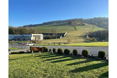 Holzferienhaus in Willingen mit Sauna