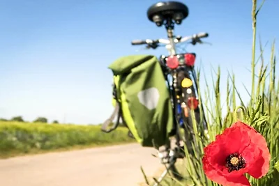 6 persoons vakantieparkhuis in Skagen