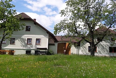 Auf dem Biobauernhof Mayerhofer