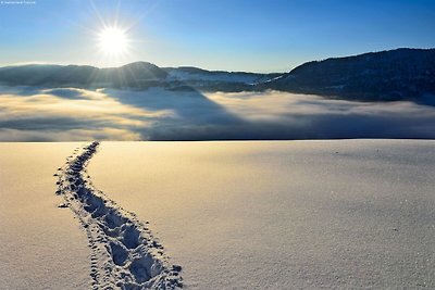 Wohnung in der Nähe des Skilifts.