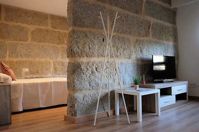 Charmante Wohnung in Ourense mit Blick auf di...