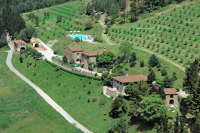 Ruhig gelegenes Bauernhaus in Dicomano mit...