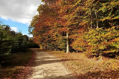 5 Personen Ferienhaus in Karrebæksminde-By...