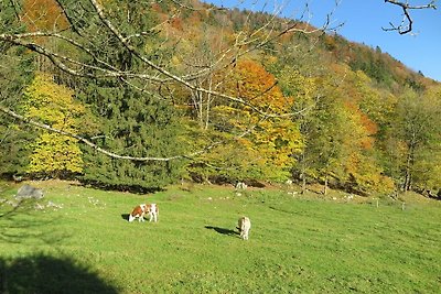 Schossbach im Haus Waldwinkel