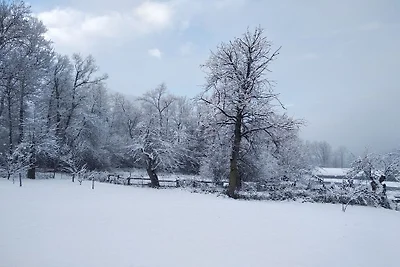 Nature Ski Lodge Sterwen