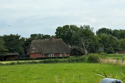 Ferienhaus in Ockholm mit Barbecue