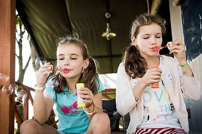 Comfortabele glampingtent met WiFi in Limburg