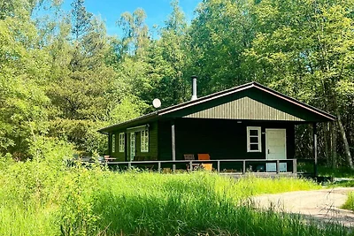 4 Personen Ferienhaus in Læsø