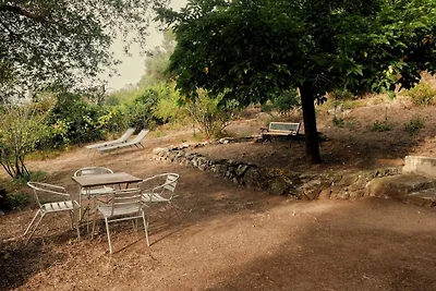 Maison de vacances à Aregno avec piscine