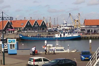 Ploen's Sandpiper