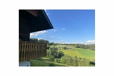 La capanna di montagna di Andi