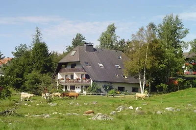 1 im Haus Schnell