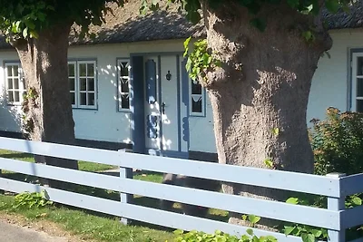 Ferienhaus mit 1 Schlafzimmer