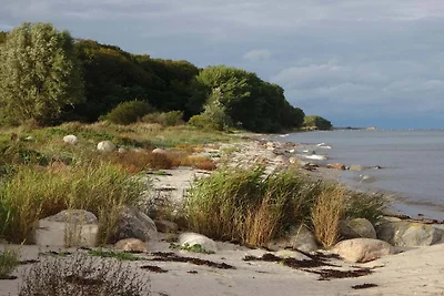 3 Persone case ad Tranekær