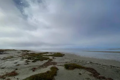 5 Personen Ferienhaus in Læsø-By Traum