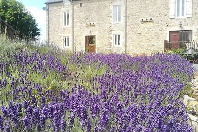 Casetta in pietra con giardino