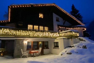 Chalet mit 2 Wohnungen von Wiesen umgeben.