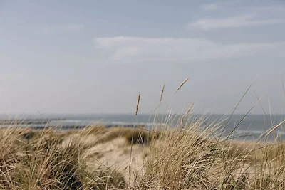 Vakantiehuis bij Noordzeestrand, België