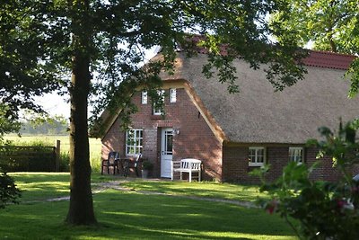 Reetdachkate Sillenserwisch