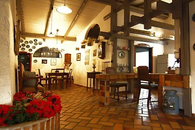Mühle in Medelby