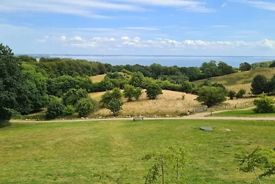 10 persone case ad Bjert