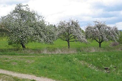 Sabine Residenza di vacanza confortevole