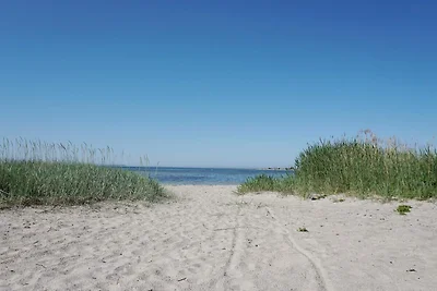 4 Sterne Ferienhaus in Gotlands Tofta