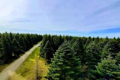 5 Personen Ferienhaus in Hovborg-By Traum