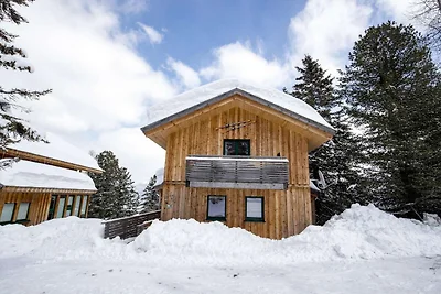 Chalet in Österreich nahe Skipisten & Sauna