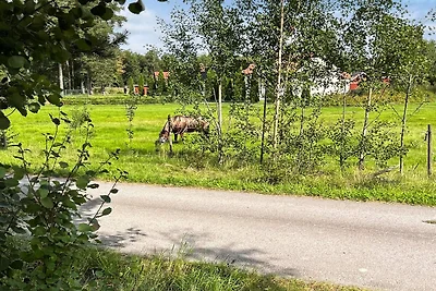 8 Personen Ferienhaus in HOVA